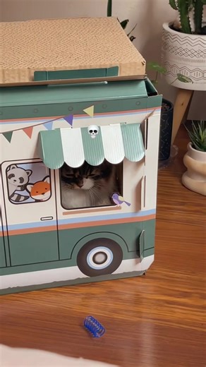 Scotty Carpenter listening to his queen Sabrina while disassociating over a missed toy grab 💖 #sabrinacarpenter