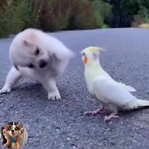 520K views · 36K reactions | Omg so cute | Baby Daily Life | Facebook