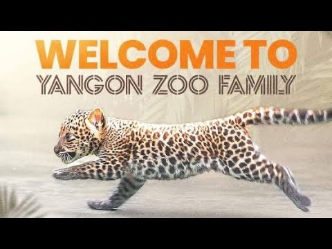 ကျွန်မ နဲ့ Yangon Zoo