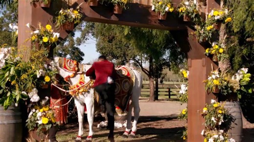 Premiere - Official First Look Trailer Season 6