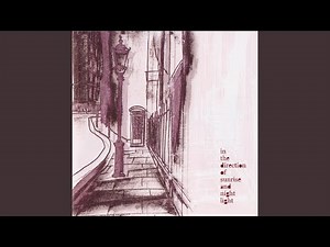 follow the night light