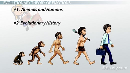 Plutchik's Wheel of Emotions | Overview & Variations