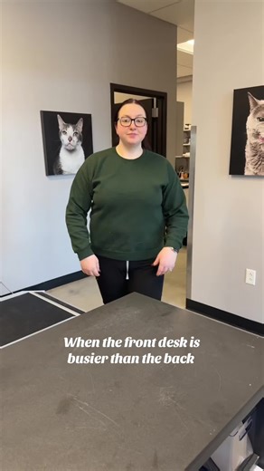 When the Front Desk is Busier Than the Back: A Vet Tech Story
