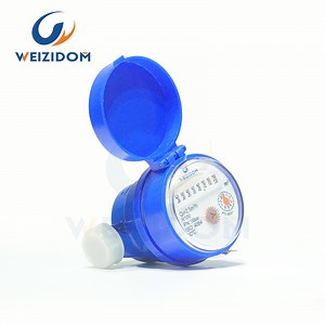 [Hot Item] Pressure Limit of One Point Zero Megapascal Single-Jet Mini Water Meter with Vane Wheel Dry-Dial Technology Water Meter