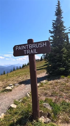 The Blackwall Road is now OPEN for the season, up past the Cascade Lookout, to the sub-alpine meadows. Happy 🥾 hiking! #manningpark #explorebc #naturelovers #mountainlovers #hiking | Manning Park Resort