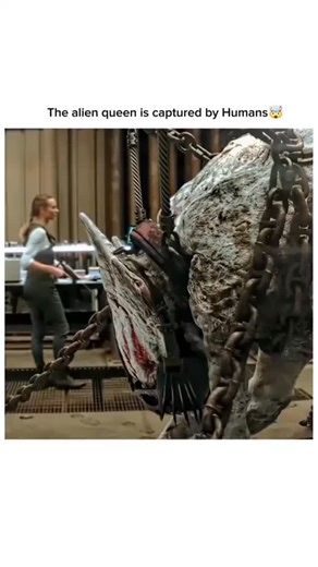 Movie ADDA on Instagram: "Follow us @movie__adda6 📺The Tomorrow War (2021 Movie) 🎥 The world is stunned when a group of time travellers arrive from the year 2051 to deliver an urgent message: thirty years in the future, mankind is losing a global war against a deadly alien species 🎞️ 02Hr 18mins •Action/Sci-fi 📈 𝐑𝐚𝐭𝐢𝐧𝐠𝐬: ⚠️IMDB - 6.6/10 ✅TV Guide-45% 🍅Rotten Tomatoes-51% 🎦 𝐖𝐚𝐭𝐜𝐡 𝐨𝐧: • Telegram Link In Bio🍿 𝐅𝐨𝐥𝐥𝐨𝐰 (𝐮𝐬) @movie__adda6 𝐟𝐨𝐫 𝐦𝐨𝐫𝐞 𝐜𝐥𝐢𝐩𝐬 𝐥𝐢𝐤𝐞