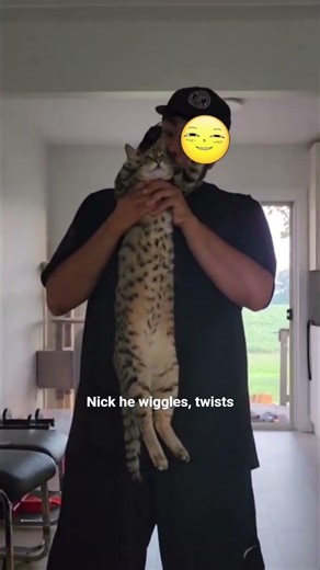 two bengal brother.. different personalities