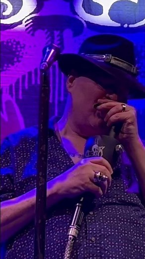 Blues Traveler - Hook 11/6/25 Live Wabash, IN #bluestraveler #johnpopper #concert #hook #livemusic