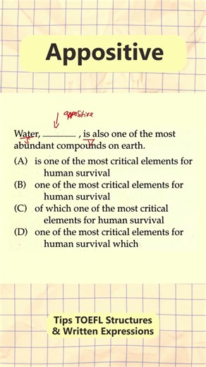 Tips TOEFL Structure tentang Appositive #toefl #english #toeflitp #education #shortsfeed