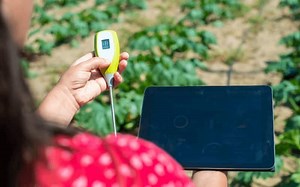 8 Best pH Meters For Hydroponics