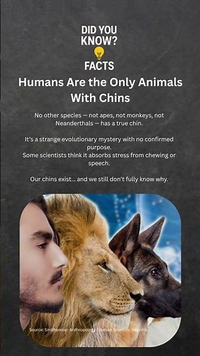 Humans Are the Only Animals With Chins