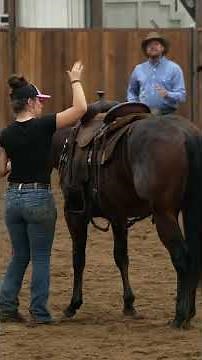 Take the time necessary to prepare your colt on the ground for a safe ride #applythemethod