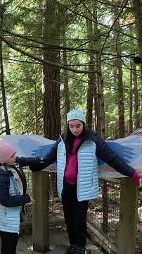 Capilano Suspension Bridge Park Treetops Walk 🌲 | Things To Do in Vancouver Canada