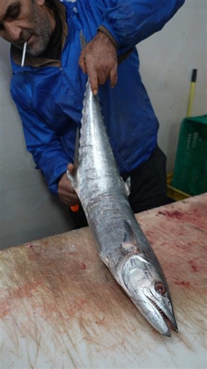 Amazing Big Fish Cutting Skills – Master Level