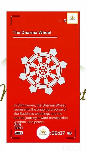 🪷 The Hidden Meaning of the Dharma Wheel #motivation #mindfullnesspractice #mindfulpresence