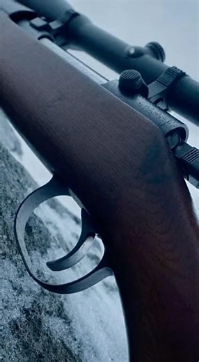 Josef “Sepp” Allerberger — WWII Eastern Alps | The Alpine Phantom