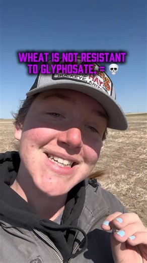 Emma | A HUGE misconception, and a very common one! Wheat is NOT resistant to glyphosate, and it is NOT genetically modified! There IS a... | Instagram