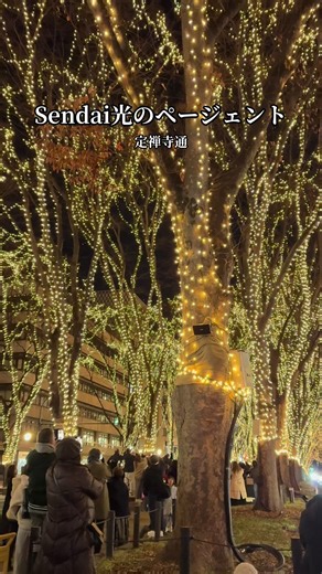 Sendai 光のページェント 2023