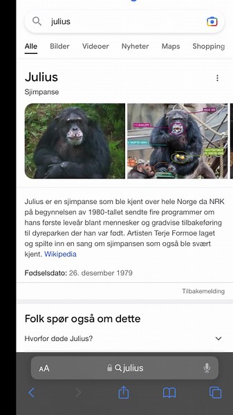 Discovering Julius: A Chimpanzee's Journey