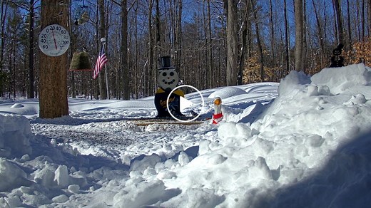 Michigan Snowman Cam
