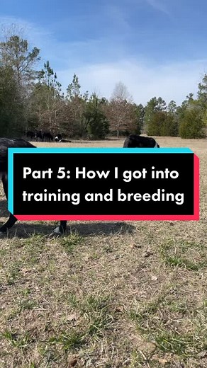 Part 5: How I got into training and breeding #breeding #training #bordercollies #intro #introduction #dogs #dogsports #bordercollie