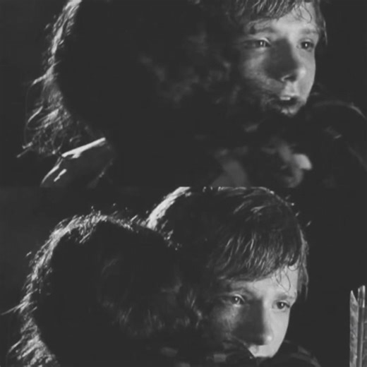 Cómo LARP como fan de Los Juegos del Hambre