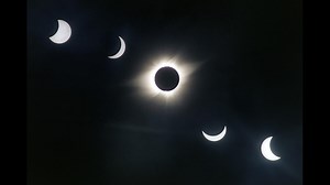 Animals and the solar eclipse: How are they affected?