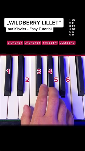 Piano Tutorial: Learn to Play 'Wildberry Lillet'