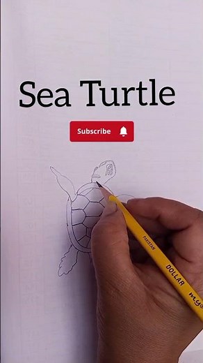 How to Draw a Sea Turtle Step by Step | Easy Sea Turtle Drawing Tutorial#biology #viral #seaturtle