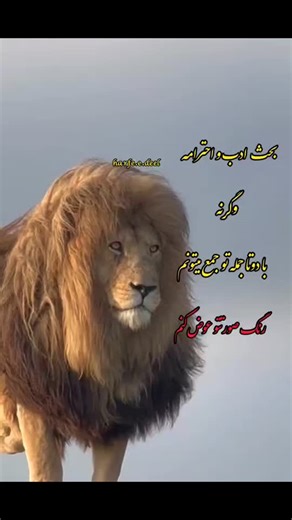 ‎حرف دل/تکست خاص/ متن/متن سنگین‎ on Instagram‎: "بحث ادب و احترامه وگرنه با دوتا جمله تو جمع میتونم رنگ صورتتو عوض کنم #متنوشته #متنوشته_زیبا #متن_گرافی #متنناب #متن_ناب #متن_ادبی #متن_سنگین #عکسنوشته_تیکه_دار #ریلز #اینستاگرام #تکست_ناب #تکست_خاص #تکست_تیکه_دار #تیکه_کلفت #تیکه #ازاکسپلوراومدی_فالوکن #ازاکسپلورمیبینی_فالوو_لایک_یادت_نره #فیلمارو_ببین_پیجو_فالو_کن_👇👇👇👇👇👇 👇👇👇👇👇 @harfe.e.deel 👈👈✅ @harfe.e.deel 👈👈✅ @harfe.e.deel 👈👈✅"‎