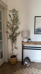 My olive tree is on sale!! 🙌🏻🙌🏻 https://dlnkr.com/r?r=aHR0cHM6Ly93d3cuYW1hem9uLmNvbS9kcC9CMDdNV1NSVFlSL3JlZj1jbV9zd19yX2FzX2dsX2FwaV9nbF9pX1NFRlRCV0pGMks3NjJOWVlBSkowP3RhZz1hc3RpbmhhbmNvY2stMjA #olivetree #salesalesale #onsale #onsalenow #amazon #amazonfinds #saleonamazon #amazondeals | Life Is What You Make It