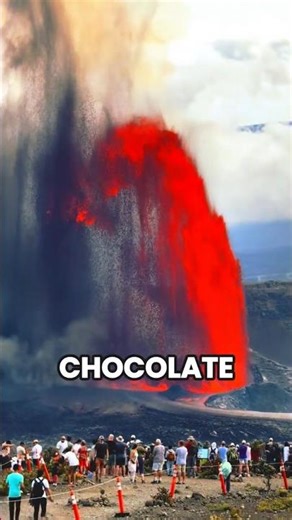 “They Look Like Chocolate… But They’re Not ”