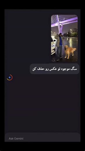 ‎ابولی|𝐀𝐁𝐎𝐋𝐈‎ on Instagram: "The 1990 film "Home Alone" is more than just a family comedy; it's a powerful portrayal of the courage and nuanced emotions of a child left alone. Behind the festive Christmas decorations and joyful music, the feelings of loneliness and growing awareness of Kevin seep through. At first, being home alone feels like a source of freedom and excitement, but as time passes, the quieter emotions Kevin encounters throughout the silent house become more apparent. The un