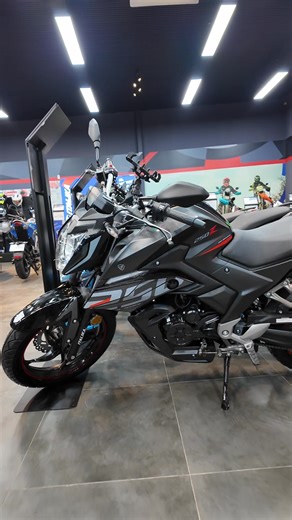 Vale la pena la moto 250z Italika para 2026 o mejor una vortex 250 | YucaBiker