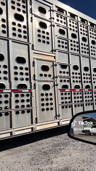 Exploring Cow Trucking in J Town, Tennessee