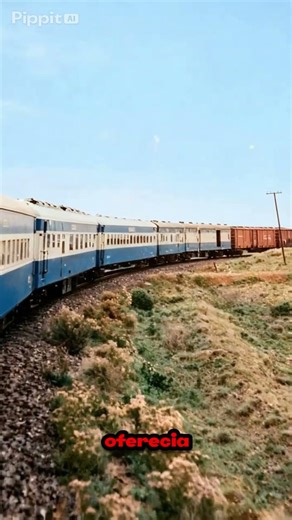 TREM: CAMPINAS - SP / BRASÍLIA - DF