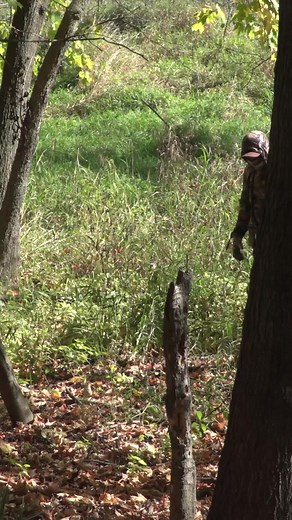 Here are 3 preseason scouting tips #deer #deerhunting