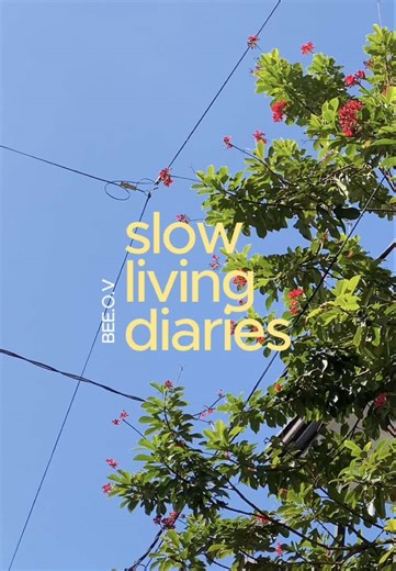 The BEE.O.V series: slow living diaries 🎥⭐️🌄🍸🛋️ #fyp #vlog #life