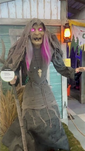 Willow Witch Animatronic by Spirit Halloween #spirithalloween #witch #animatronics #halloween