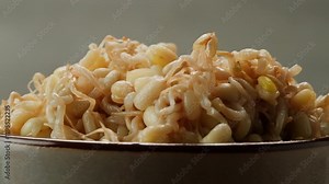 Salted soybean fermented in jar, chinese soy production, marinated food, germinated soy close up in cafe restaurant.