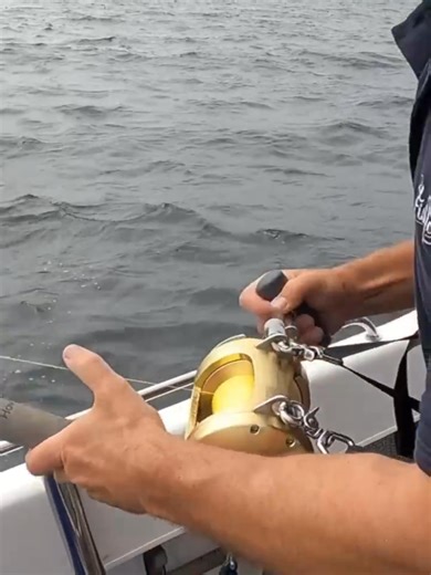 The Importance of Keeping the Clicker On When Fighting Fast Tuna#fishingtiktoks #seafishingtips #tunafishing