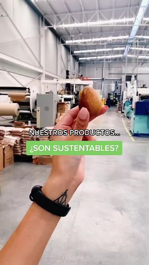 ¿Son sustentables nuestros productos de semilla de aguacate? 🥑 #CreandoParaAyudar #cambioclimatico #medioambiente #biofase #sustentable