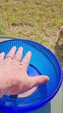 Nacre Bowl of Cobalt Glass short #resinart