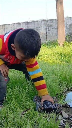 Jabardast RC remote control RC drift card the powerful Monster Truck remote control #rcdriver 🔥🔥✈️☺️