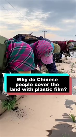 Understanding Plastic Film Usage in Chinese Agriculture