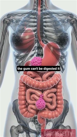 What Happens If You Swallow Gum? 🤔😱