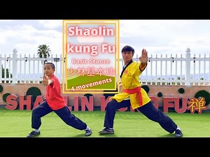 ► Shaolin Kung Fu Training for beginners, Horse Stance Punch #馬步衝拳 Bow Step Push #弓步推掌 Basic #少林基本功
