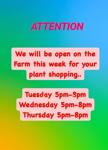 Evening hours this week for Plant shopping at our nursery tunnel! | CCR Gardens