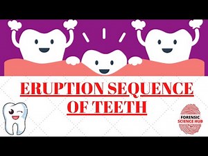 Eruption sequence of teeth | Odontology notes