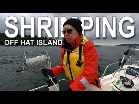 Can we catch shrimp with just one pot off Hat Island?